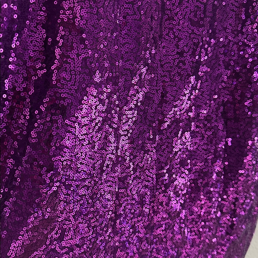 Purple Sequin Dress - Picture 3 of 6